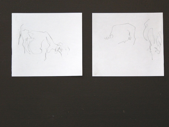 Cow Drawings - 1+2.